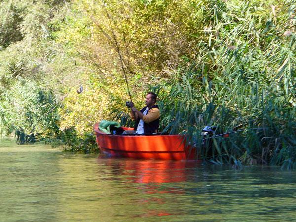 delta dunarii - pescuitdelta-dunarii80.jpg